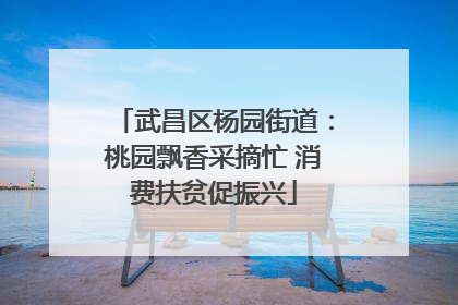 武昌区杨园街道：桃园飘香采摘忙 消费扶贫促振兴