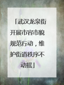 武汉龙泉街开展市容市貌规范行动，维护街道秩序不动摇
