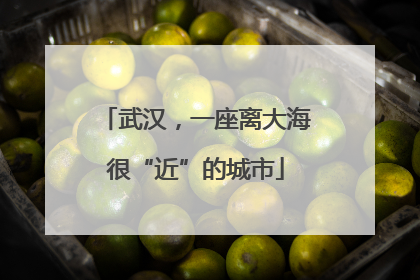 武汉，一座离大海很“近”的城市