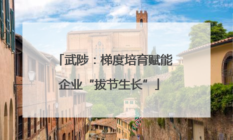 武陟：梯度培育赋能企业“拔节生长”