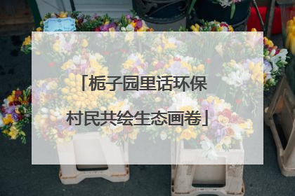 栀子园里话环保 村民共绘生态画卷