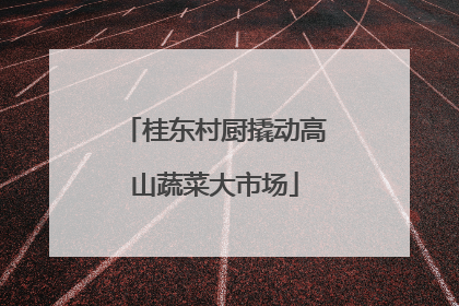 桂东村厨撬动高山蔬菜大市场