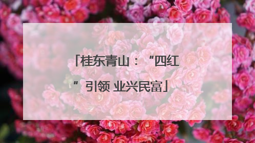 桂东青山：“四红”引领 业兴民富