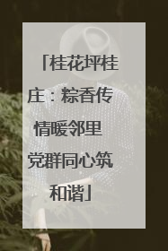 桂花坪桂庄：粽香传情暖邻里 党群同心筑和谐