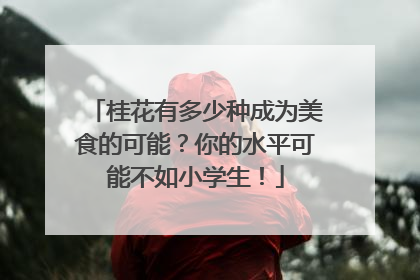 桂花有多少种成为美食的可能？你的水平可能不如小学生！