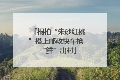 桐柏“朱砂红桃”搭上邮政快车抢“鲜”出村