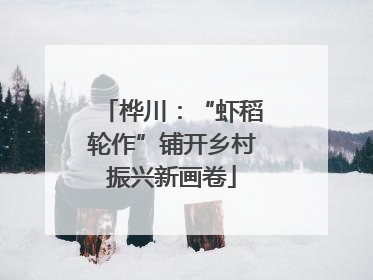 桦川：“虾稻轮作”铺开乡村振兴新画卷