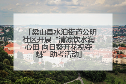 梁山县水泊街道公明社区开展“清凉饮水润心田 向日葵开花祝夺魁”助考活动
