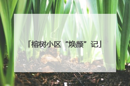 榕树小区“焕颜”记