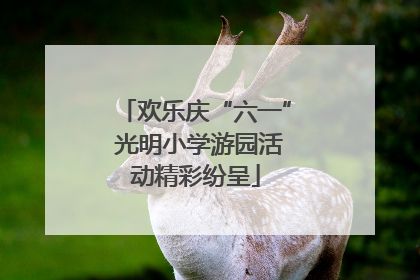 欢乐庆“六一” 光明小学游园活动精彩纷呈