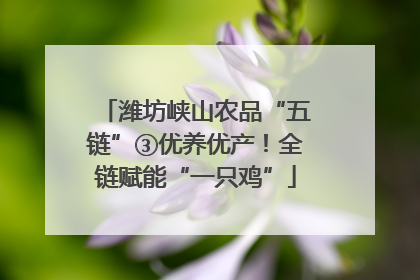 潍坊峡山农品“五链”③优养优产！全链赋能“一只鸡”