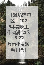 潍坊滨海区：2025年夏收工作圆满完成 5.22万亩小麦颗粒归仓