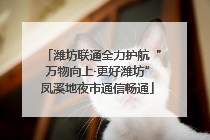潍坊联通全力护航“万物向上·更好潍坊”凤溪地夜市通信畅通