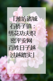 潍坊诸城石桥子镇：绣花功夫织密平安网 百姓日子越过越踏实