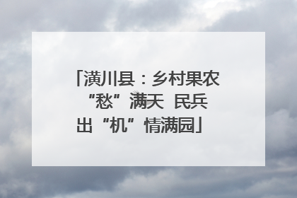 潢川县：乡村果农“愁”满天  民兵出“机”情满园