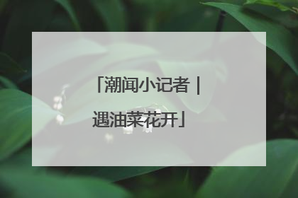潮闻小记者｜遇油菜花开
