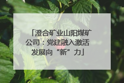 澄合矿业山阳煤矿公司：党建融入激活发展向“新”力