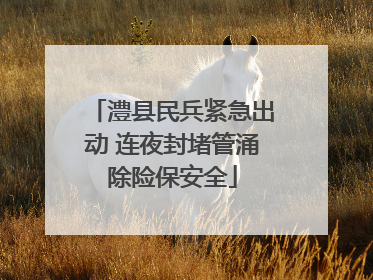 澧县民兵紧急出动 连夜封堵管涌除险保安全