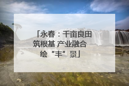 永春：千亩良田筑根基 产业融合绘“丰”景