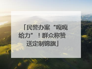 民警办案“嘎嘎给力”！群众称赞送定制锦旗