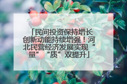民间投资保持增长 创新动能持续增强！河北民营经济发展实现“量”“质”双提升