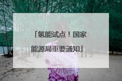 氢能试点!国家能源局重要通知