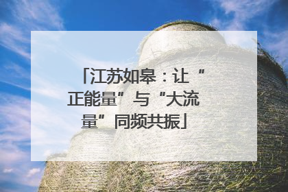 江苏如皋：让“正能量”与“大流量”同频共振