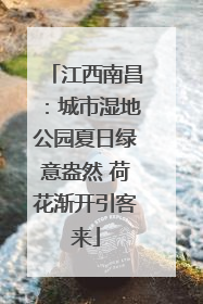 江西南昌：城市湿地公园夏日绿意盎然 荷花渐开引客来