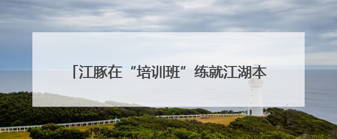 江豚在“培训班”练就江湖本领，外国代表想复制技术回国