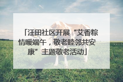 汪田社区开展“艾香粽情暖端午，敬老睦邻共安康”主题敬老活动