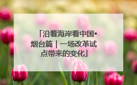 沿着海岸看中国•烟台篇｜一场改革试点带来的变化
