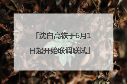 沈白高铁于6月1日起开始联调联试