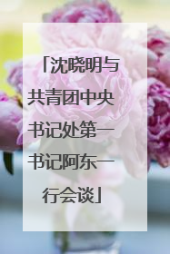 沈晓明与共青团中央书记处第一书记阿东一行会谈