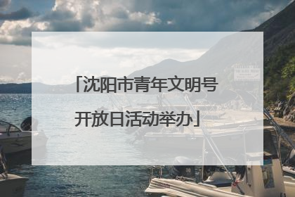 沈阳市青年文明号开放日活动举办