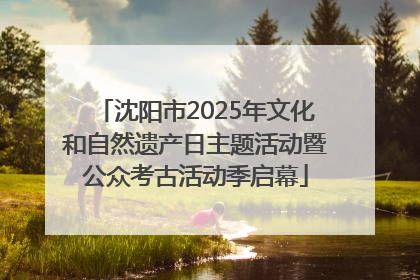 沈阳市2025年文化和自然遗产日主题活动暨公众考古活动季启幕