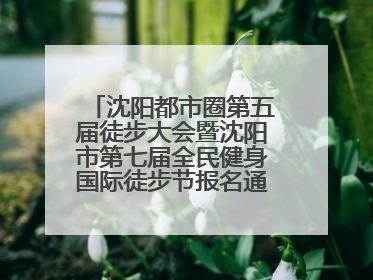 沈阳都市圈第五届徒步大会暨沈阳市第七届全民健身国际徒步节报名通道开启