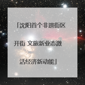 沈阳首个非遗街区开街 文旅新业态激活经济新动能