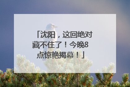 沈阳，这回绝对藏不住了！今晚8点惊艳揭幕！