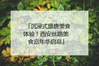 沉浸式盛唐美食体验！西安丝路美食嘉年华启幕