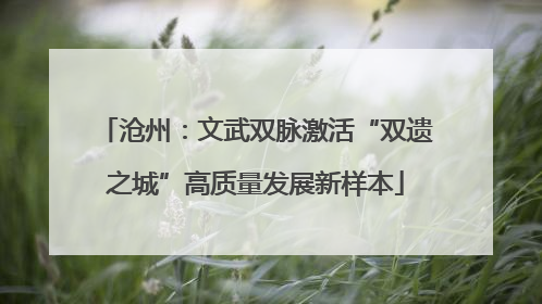沧州：文武双脉激活“双遗之城”高质量发展新样本