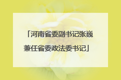 河南省委副书记张巍兼任省委政法委书记