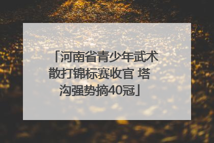 河南省青少年武术散打锦标赛收官 塔沟强势摘40冠