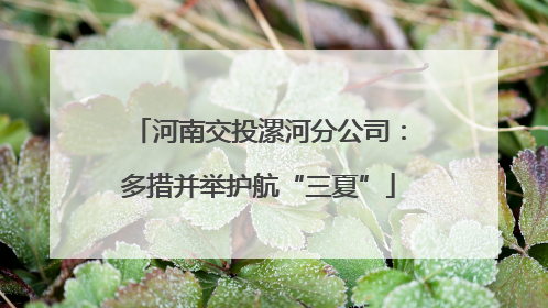 河南交投漯河分公司：多措并举护航“三夏”