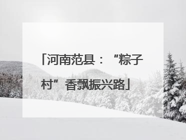 河南范县：“粽子村”香飘振兴路