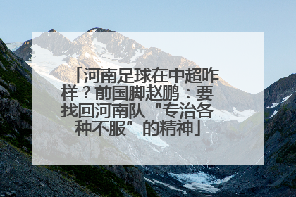 河南足球在中超咋样？前国脚赵鹏：要找回河南队“专治各种不服”的精神