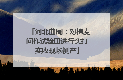河北曲周：对棉麦间作试验田进行实打实收现场测产