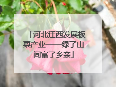 河北迁西发展板栗产业——绿了山间富了乡亲