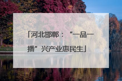 河北邯郸：“一品一播”兴产业惠民生