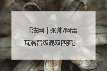 法网｜张帅/阿雷瓦洛晋级混双四强