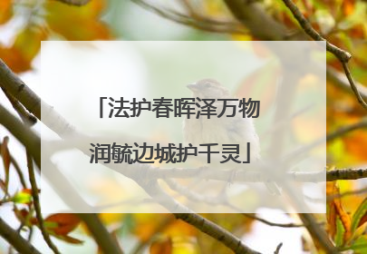 法护春晖泽万物 润毓边城护千灵